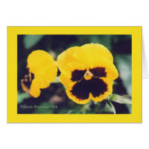 Pensée jaune cartes de vœux