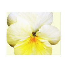 Pensée jaune-clair toile tendue