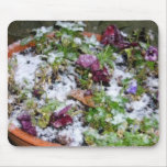 Pensées de neige tapis de souris