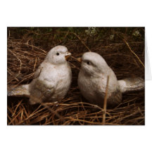 Pensées douces de vous, deux oiseaux dans un nid,  carte