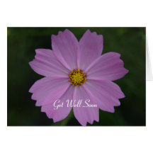 pensées parfaites de fleur cartes