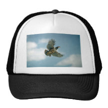 Perdrix de Chukar en vol Casquettes