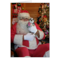 Père Noël et chiwawa cartes