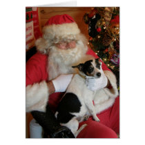 Père Noël et Jack Russell cartes