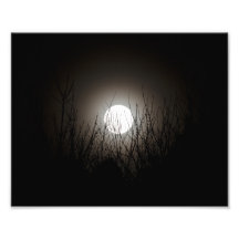 Périgée Photographes