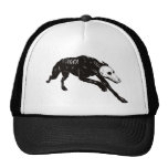 PERRO TURECO casquettes