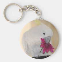 Perroquet avec He m'aime qu'il m'aime pas Porte-clefs