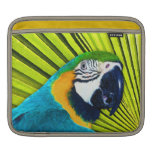 Perroquet dans le palmier housses iPad
