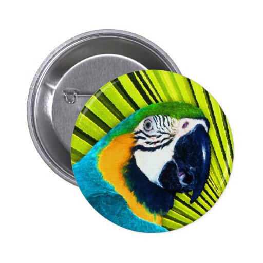 Perroquet dans le palmier pin's