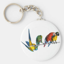 Perroquet d'ara porte-clefs