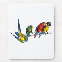 Perroquet d'ara tapis de souris