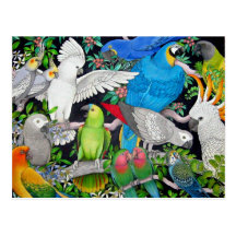 Perroquets d'animal familier de la carte postale d