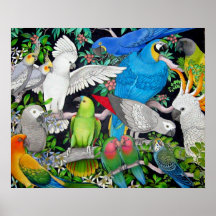 Perroquets d'animal familier de l'affiche du monde