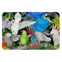 Perroquets d'animal familier de l'aimant de prime  magnets