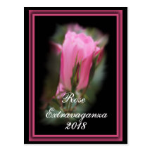 Personnaliser Knockout de carte postale de Rosebud