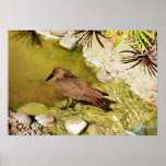 Perspective d'oiseau posters