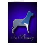 Perte de carte de sympathie de chien