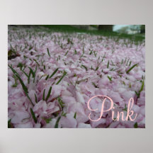 Pétales roses de fleur dans l'herbe affiches