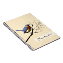 Petit bleu d'oiseau, carnet à spirale