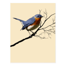 Petit bleu d'oiseau, carte postale
