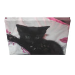 Petit chat noir impression sur toile
