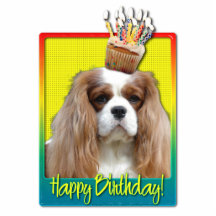 Petit gâteau d'anniversaire - cavalier - Blenheim Photo En Relief