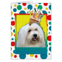 Petit gâteau d'anniversaire - coton de Tulear Carte De Vœux