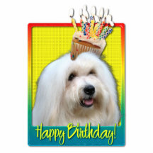Petit gâteau d'anniversaire - coton de Tulear Découpage En Acrylique