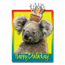 Petit gâteau d'anniversaire - koala photos en relief