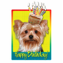 Petit gâteau d'anniversaire - Yorkshire Terrier Photo En Découpe