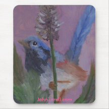Petit oiseau, JohnTirrell.com Tapis De Souris