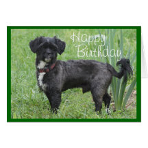 Petit par Iris-personnaliser toute occasion Cartes
