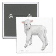 Petit Pin d'agneau Pin's Avec Agrafe