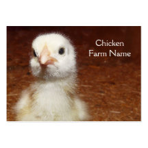 Petit poussin jaune - ferme de poulet carte de visite