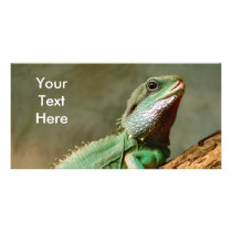 Petit reptile photocarte personnalisée