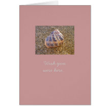 Petit Shell, souhaitent que vous ayez été ici… Carte De Vœux