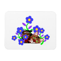 Petit somme de chat magnets rectangulaire