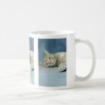 Petit somme de chat tasse