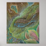 Petite affiche repérée de boxfish