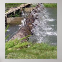 Petite cascade affiches