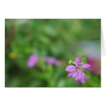 Petite fleur pourpre d'arrière - plan vert floral cartes