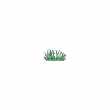 Petite herbe