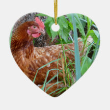 Petite poule rouge dans l'herbe décorations de noël