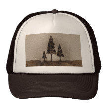 Petits arbres casquette
