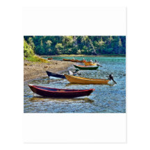 Petits bateaux de Ftishermen de Côte Est Carte Postale
