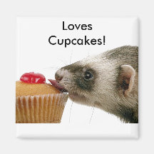 Petits gâteaux d'amour de furets magnets pour réfrigérateur