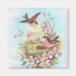 Petits oiseaux aimant