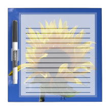 Petits rayés par lever de soleil de tournesol sèch