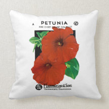 Pétunia Oreillers