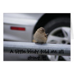 Peu de Birdy (personnalisable !) Cartes De Vœux